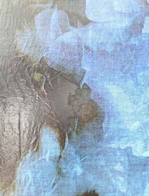 Head 55B - Image 3