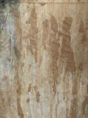 Selfportrait 4 - Image 4