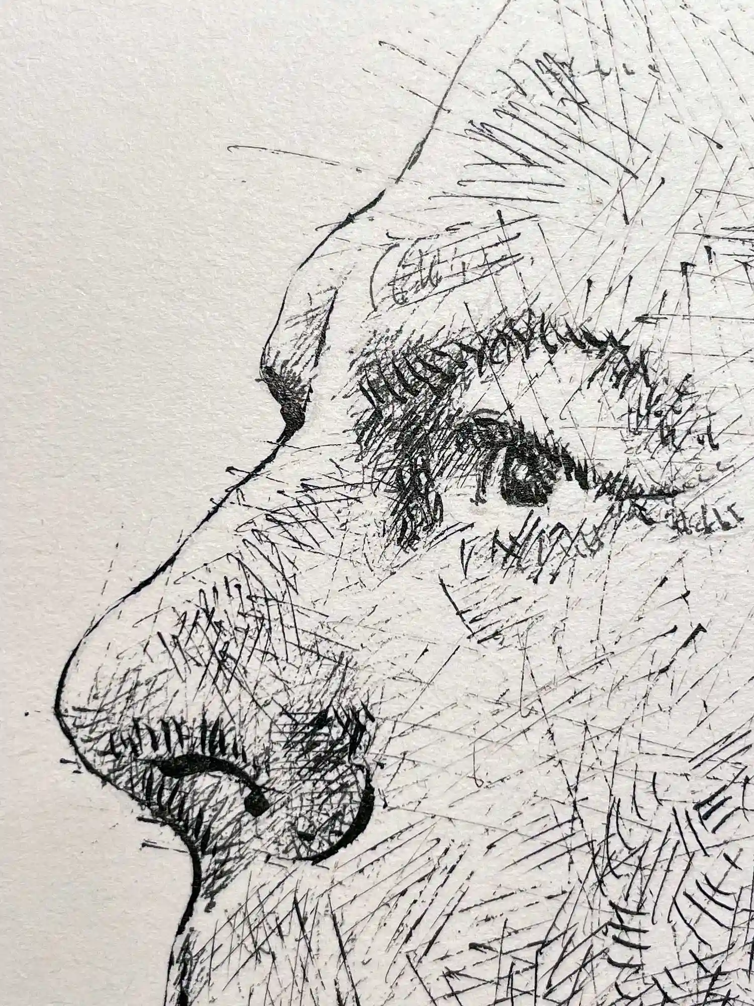 Close-up of black ink male portrait drawing showing fine cross-hatching and expressive pen technique