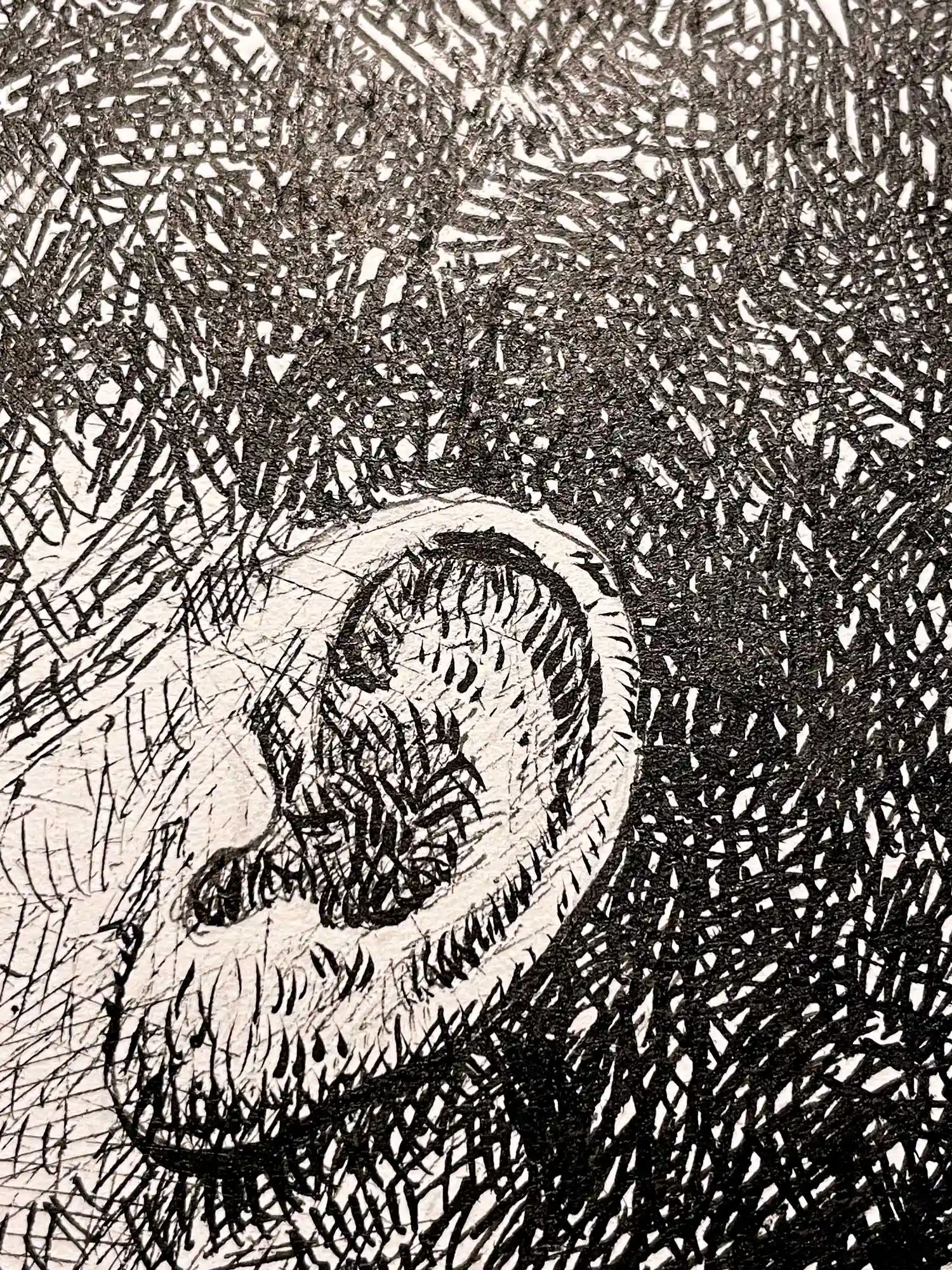 Detail of black ink male portrait drawing on paper with intricate linework and realistic texture