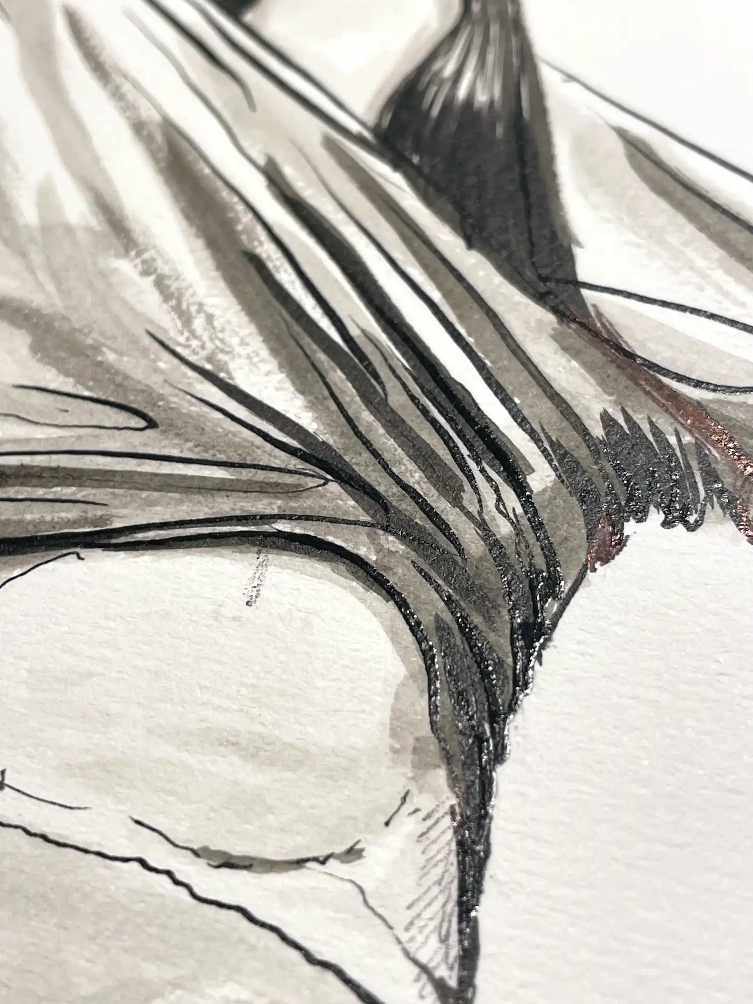 detail of ink and pencil lines in female lingerie ink drawing by Dario Moschetta