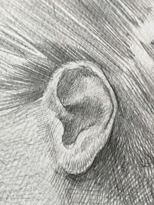 detailed view of graphite portrait drawing for sale focusing on ear and hair texture