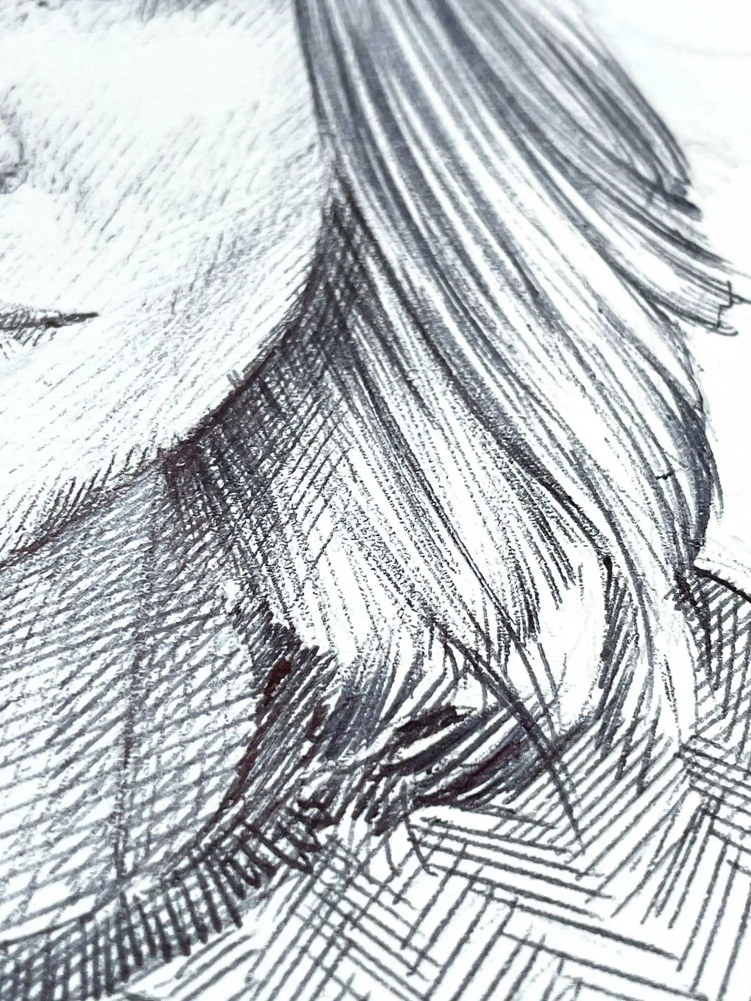 Close-up of hair detail in female ballpoint portrait drawing by contemporary artist Dario Moschetta