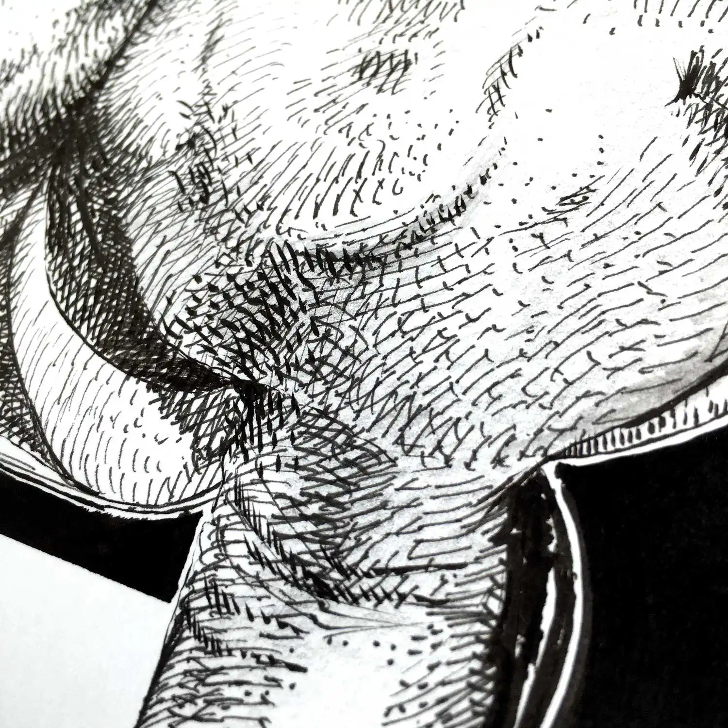 Close-up detail of sensual graphite and ink drawing by Dario Moschetta – contemporary figurative art
