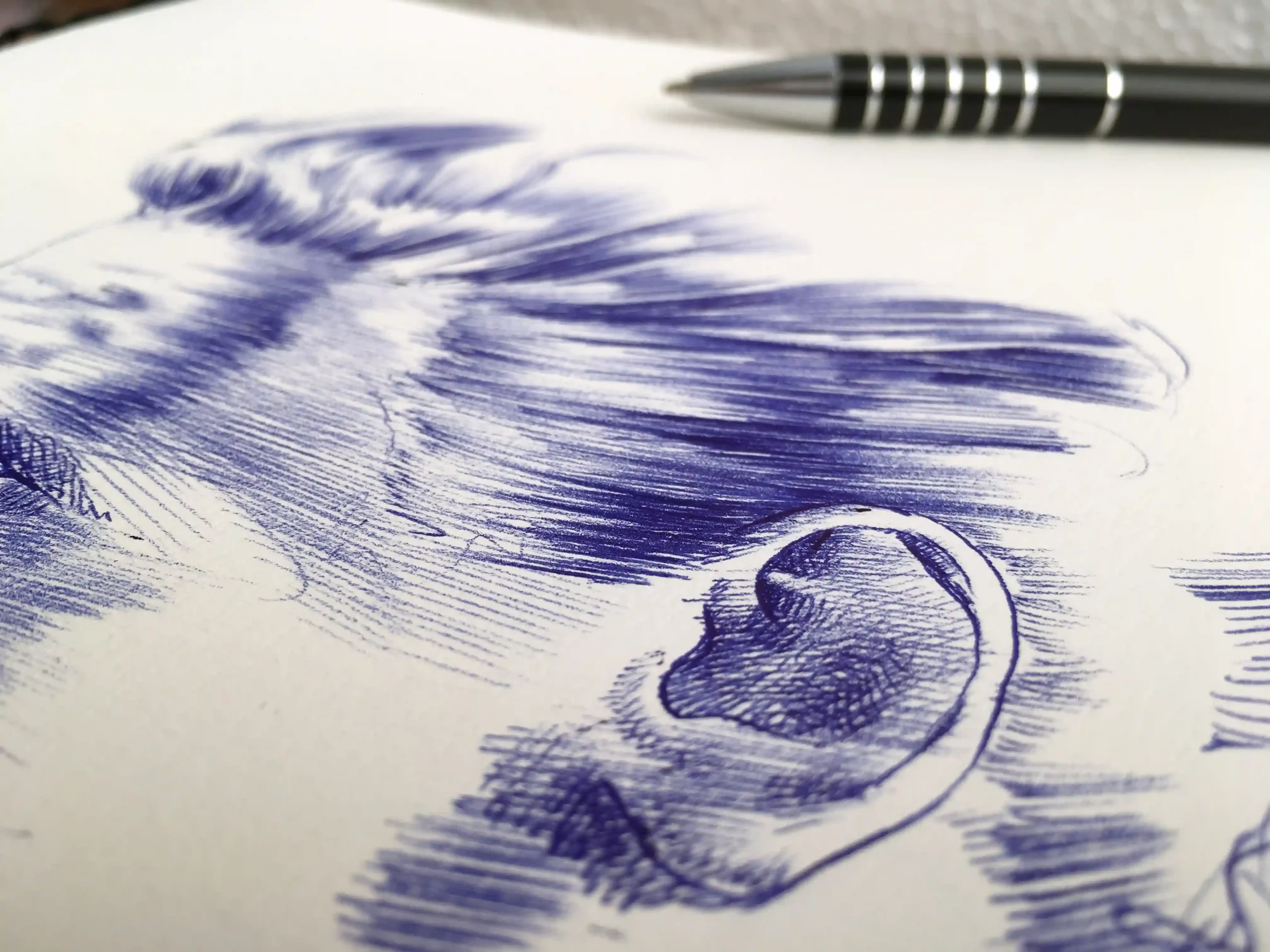 ballpoint pen ink texture on paper – portrait drawing detail