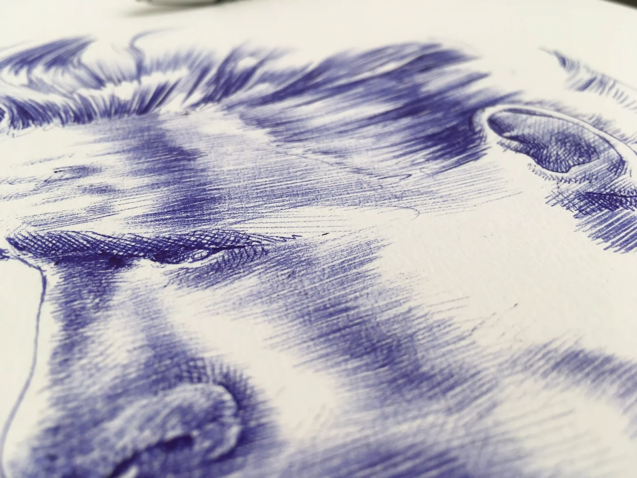 ballpoint pen drawing detail – blue ink linework and hair texture