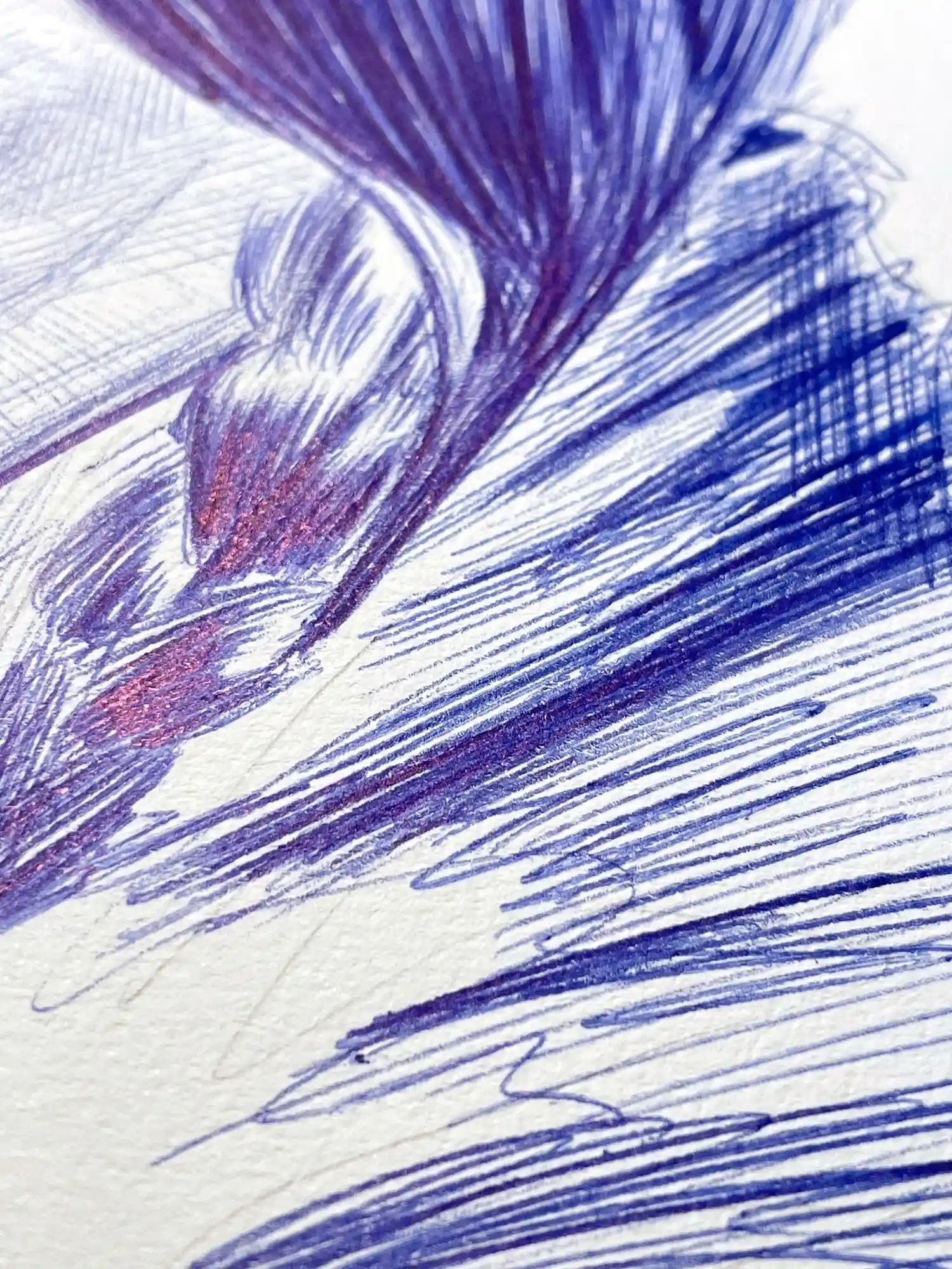 Close-up detail of expressive line work in a contemporary ballpoint ink drawing on paper