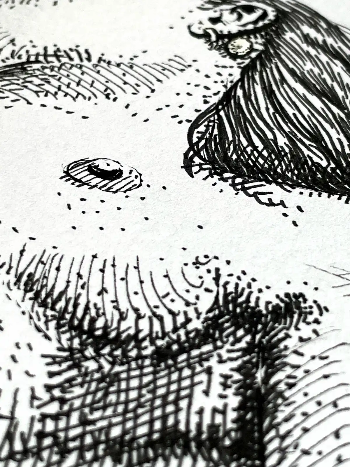 Female nude drawing detail with cross-hatched ink line work and structural composition