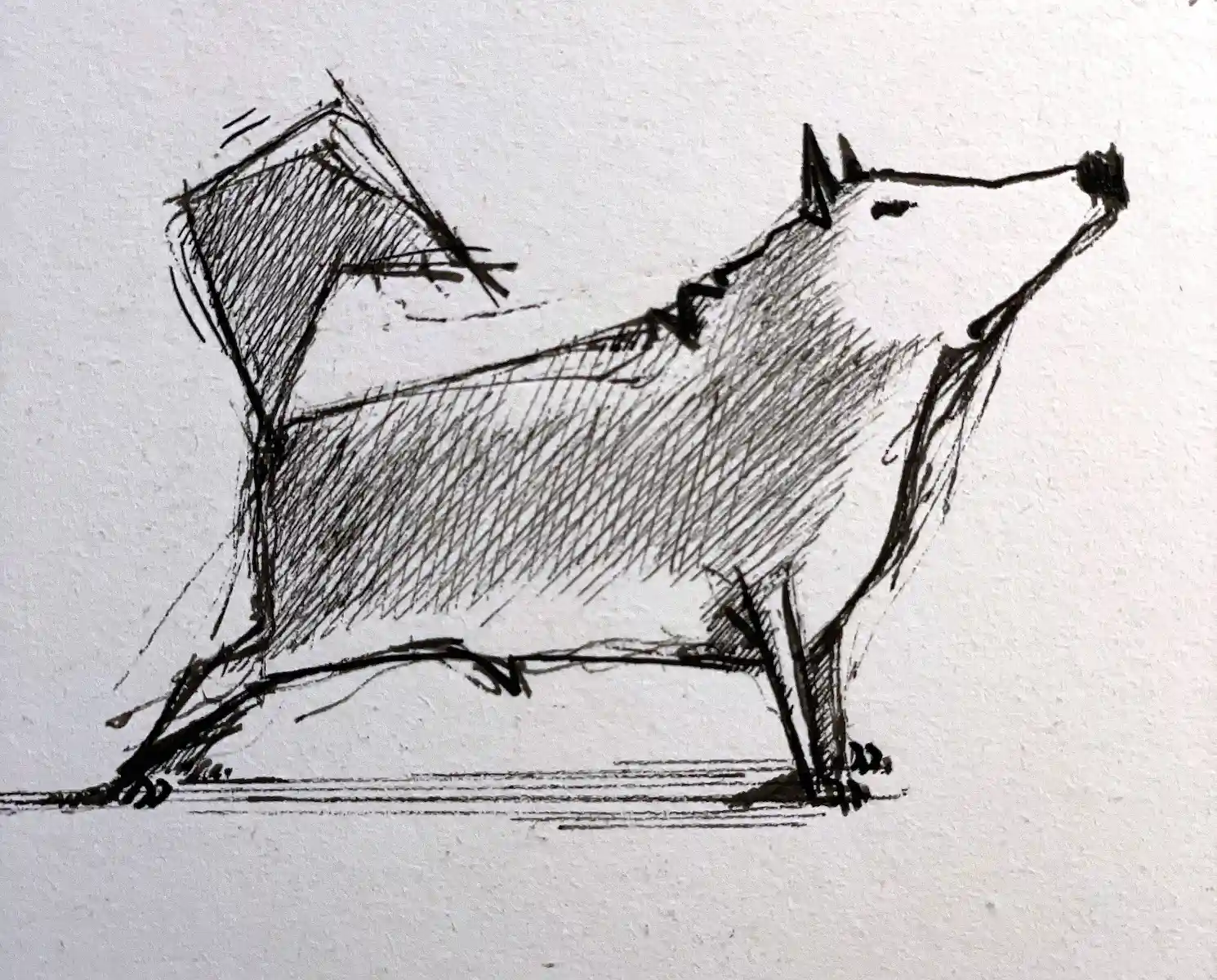 Sketch of CanCan contemporary dog design object by Dario Moschetta