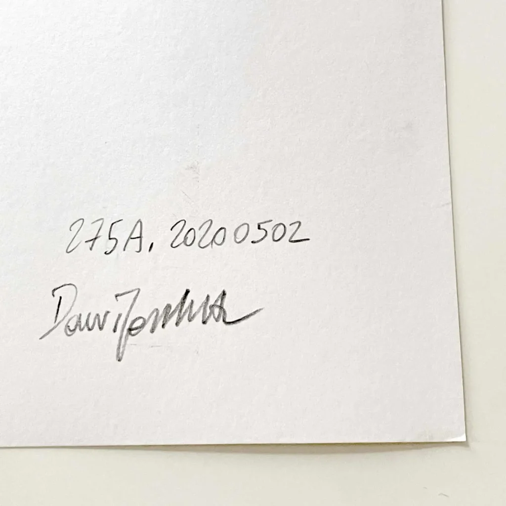 Signature and back detail of original female profile ink drawing by Dario Moschetta