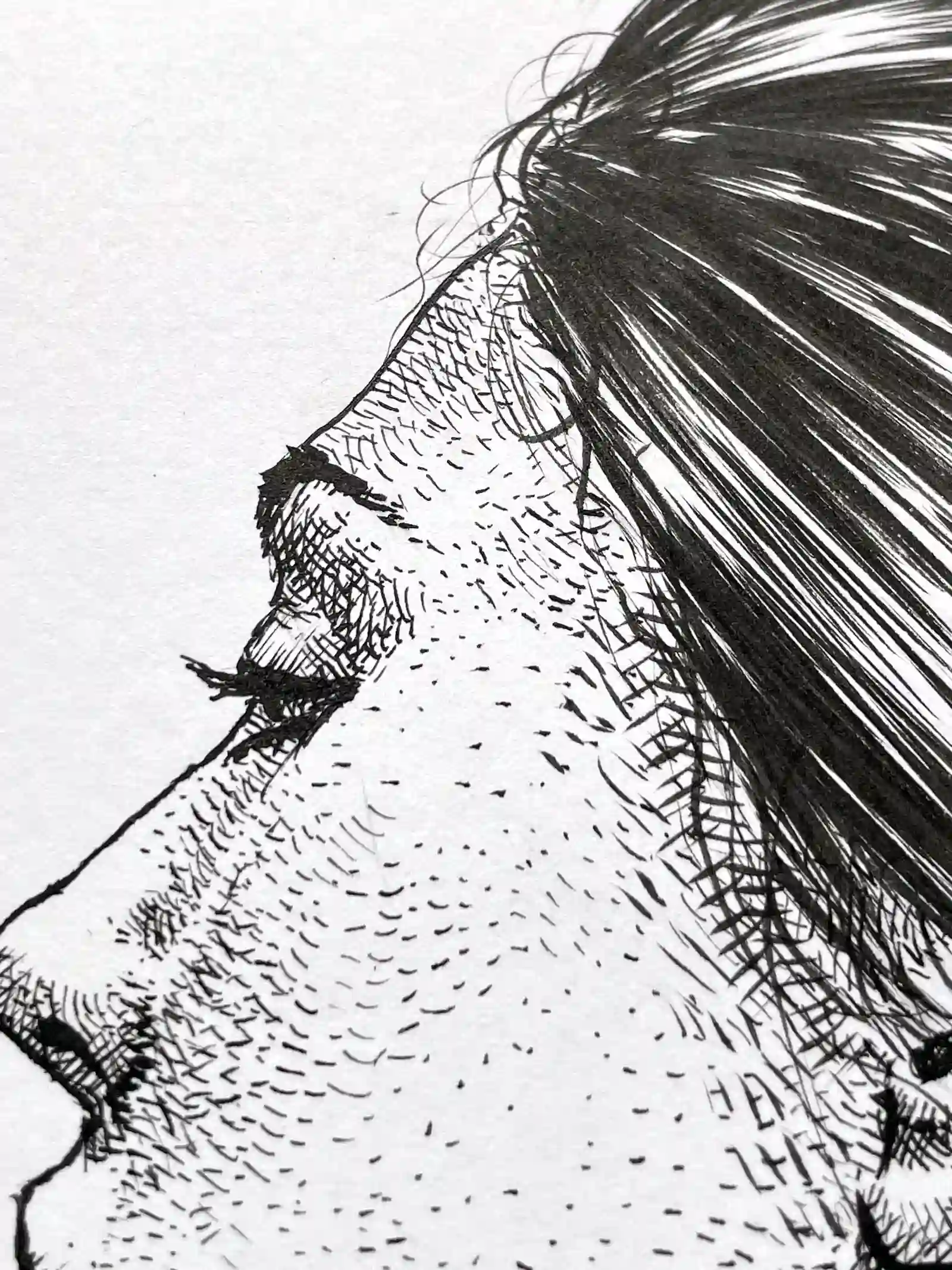 Detail of female ink portrait with crosshatching technique on face and skin texture