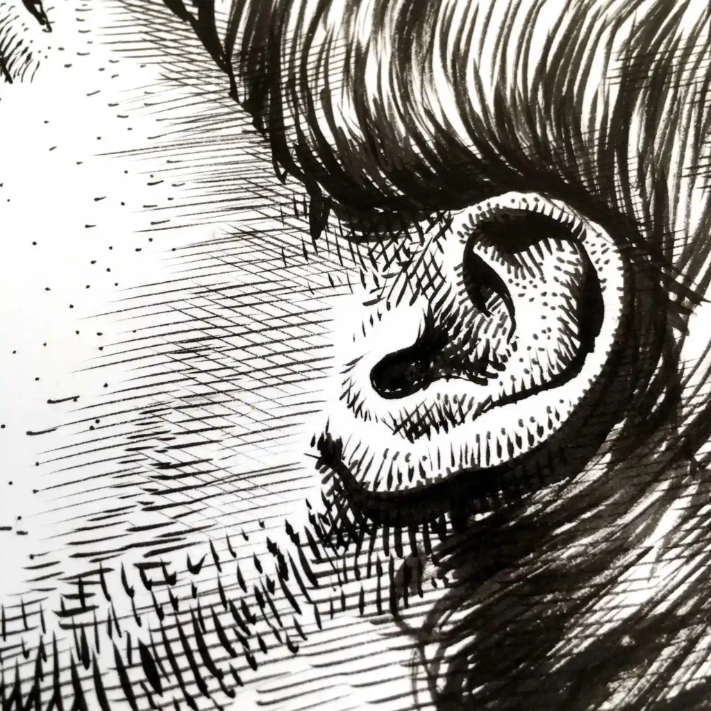 Close-up of ear and cross-hatching in female profile ink portrait drawing