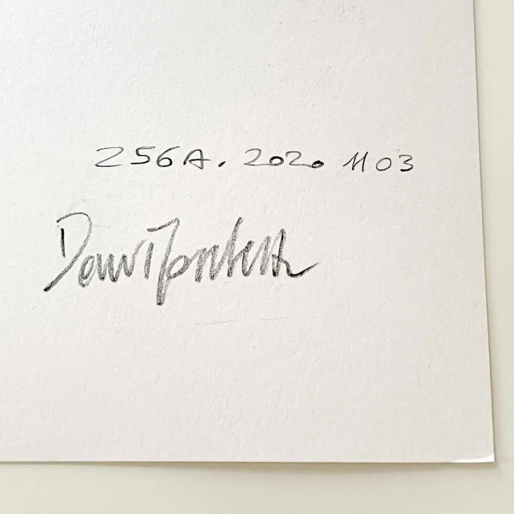 Signature on the back of female profile ink portrait drawing by Dario Moschetta on paper