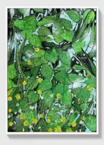 Leaves of Light – contemporary floral abstract acrylic painting on canvas, 48×67 cm, part of the Sunlight Blooms series by Dario Moschetta