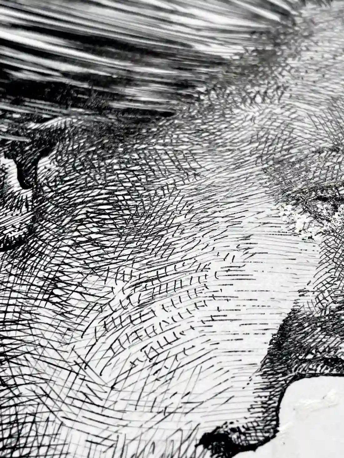 black ink female portrait drawing face detail cross hatching technique