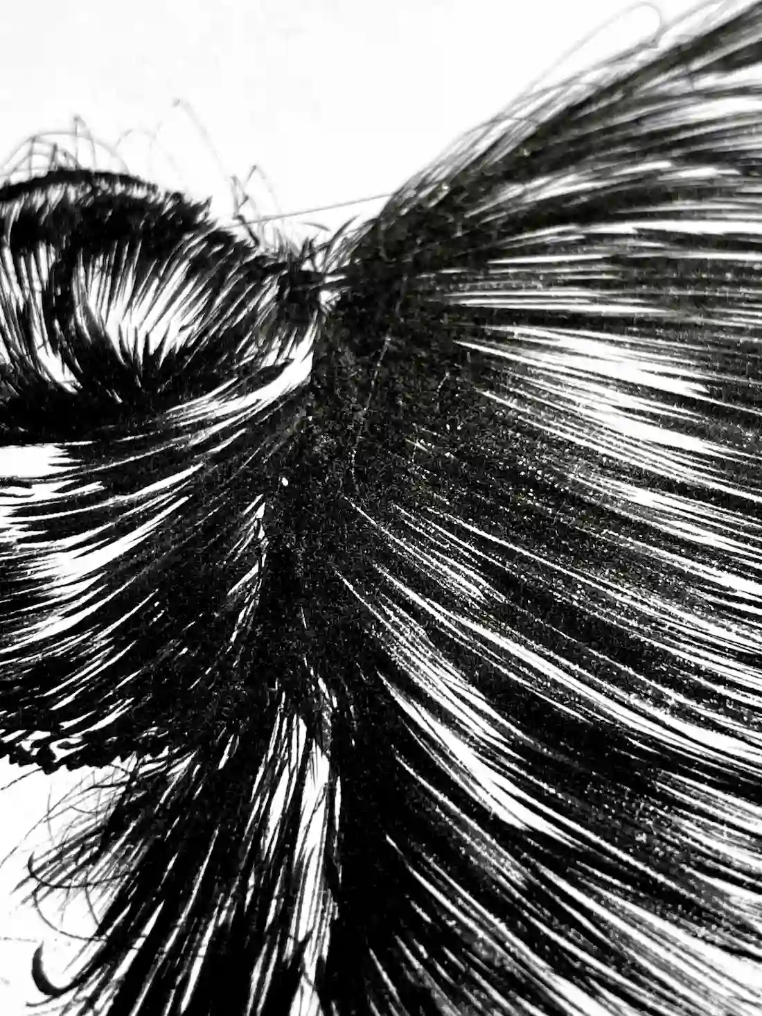 black ink female portrait drawing hair detail line texture and highlights