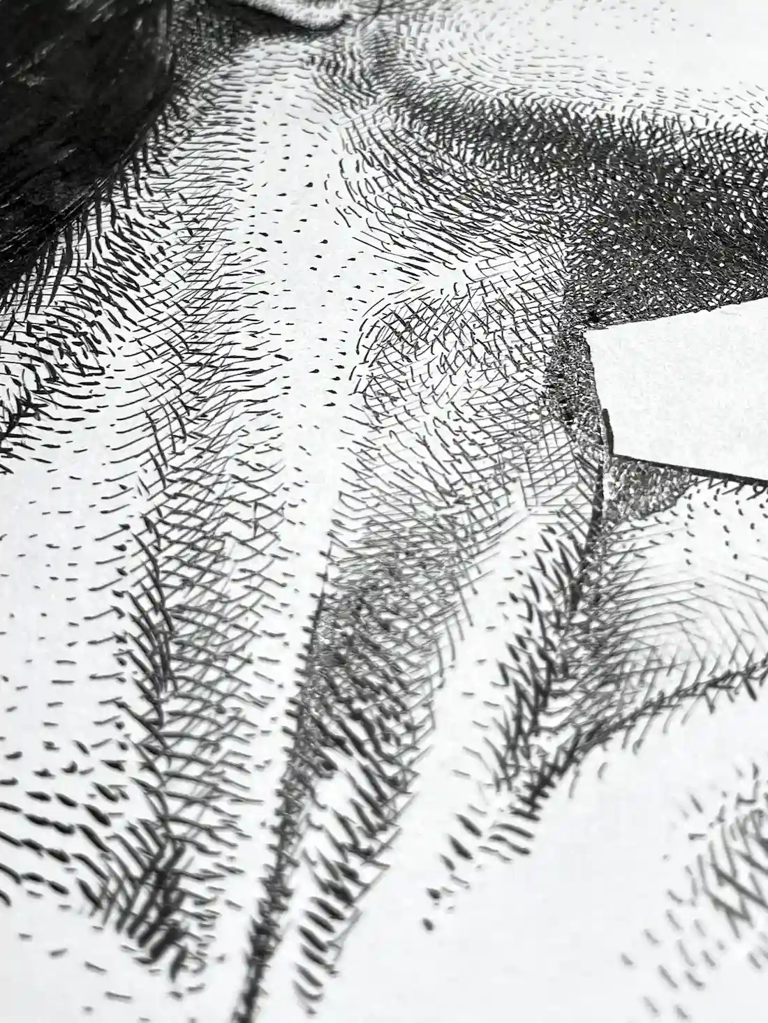 female side profile ink drawing detail showing neck structure and cross hatching