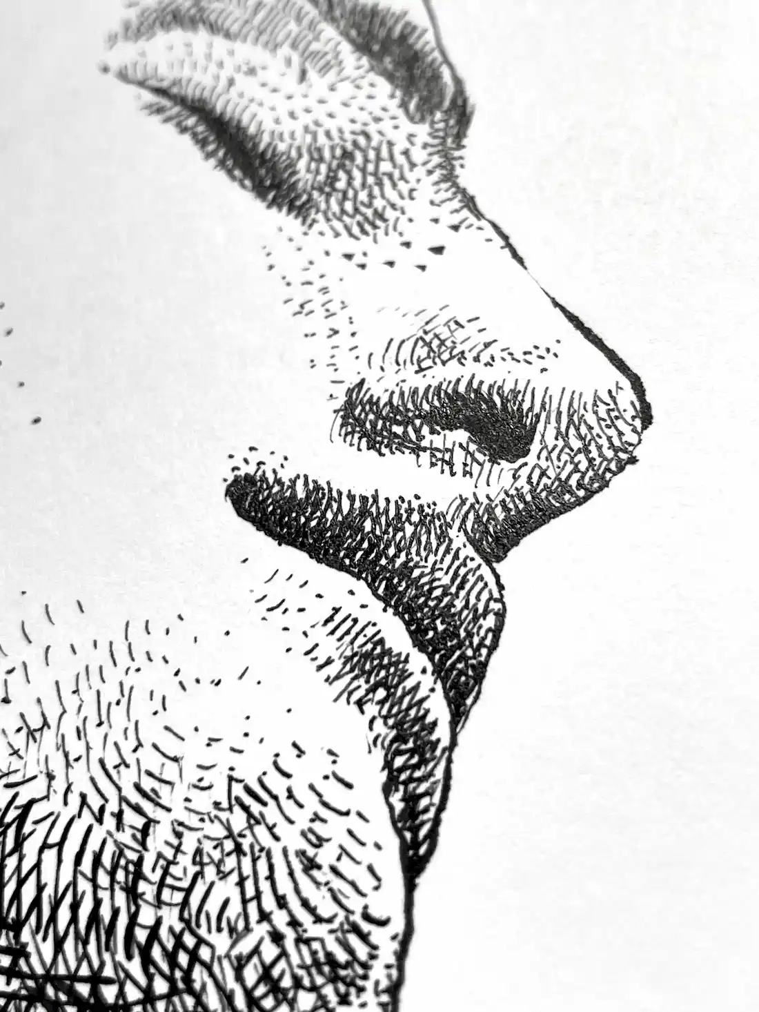 female side profile ink drawing close up of nose and lips in profile